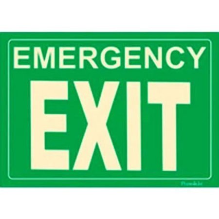 AMERICAN PERMALIGHT Photoluminescent Emergency Exit Rigid PVC Sign, Non-Adhesive 600082